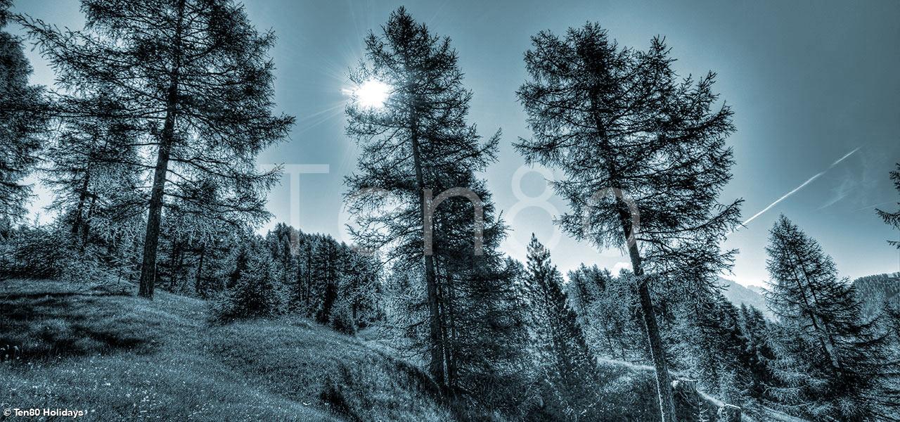 LOCATION DE CHALET SAISON CHAMONIX